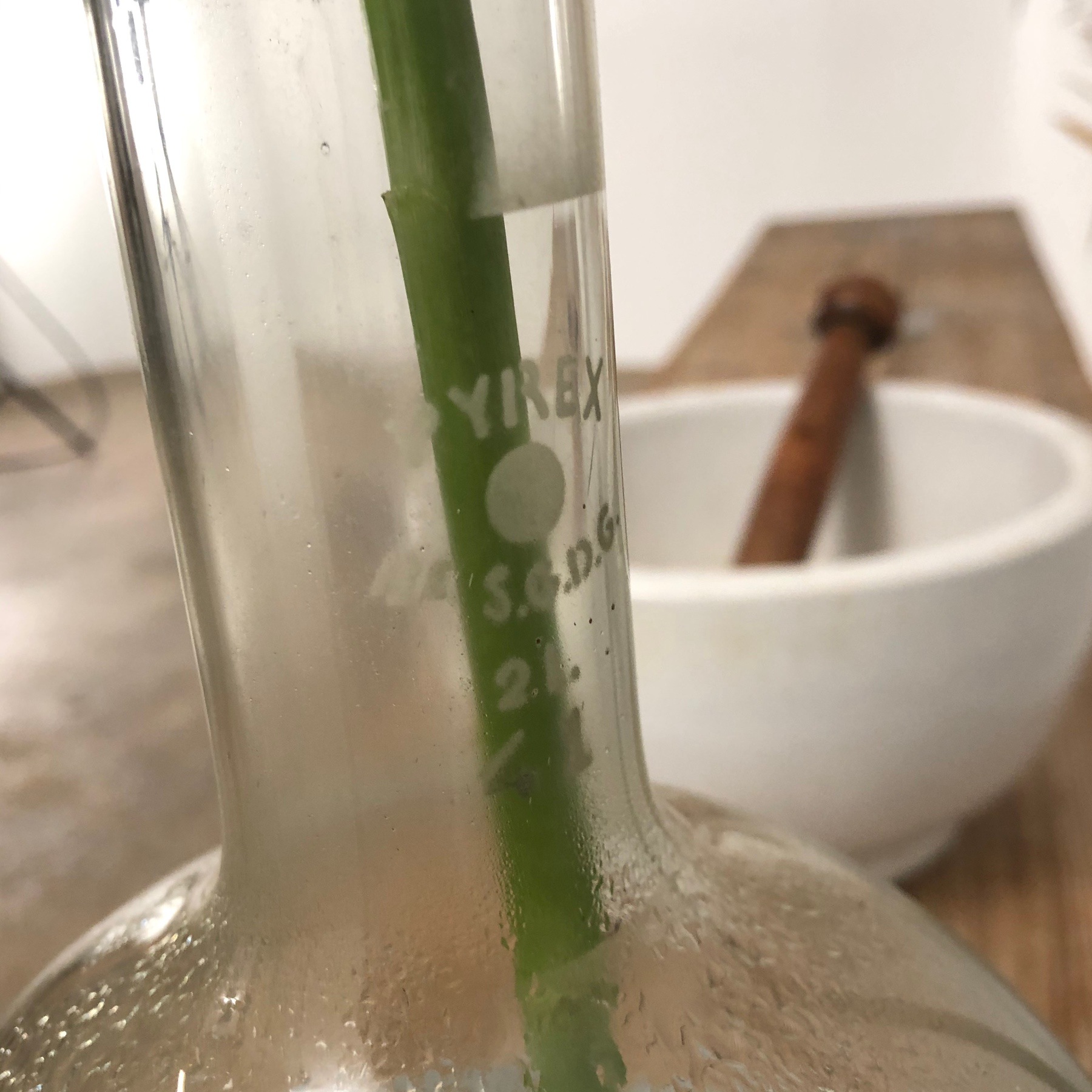 laboratory vase Objet Vagabond