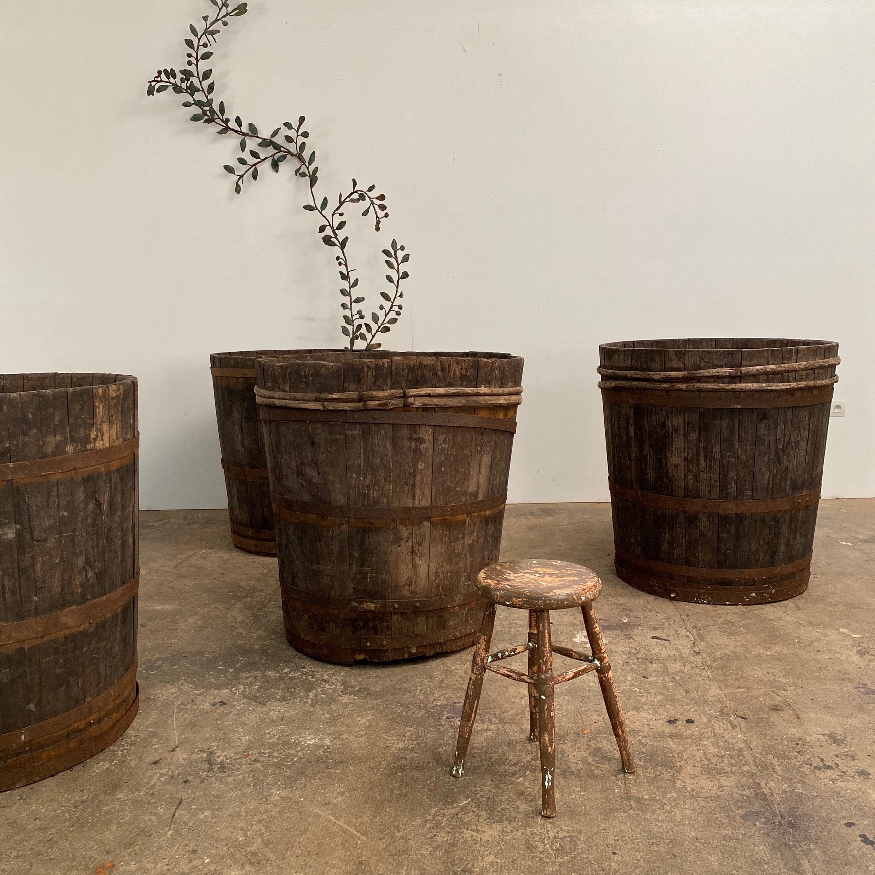 large-vineyards-bins0008