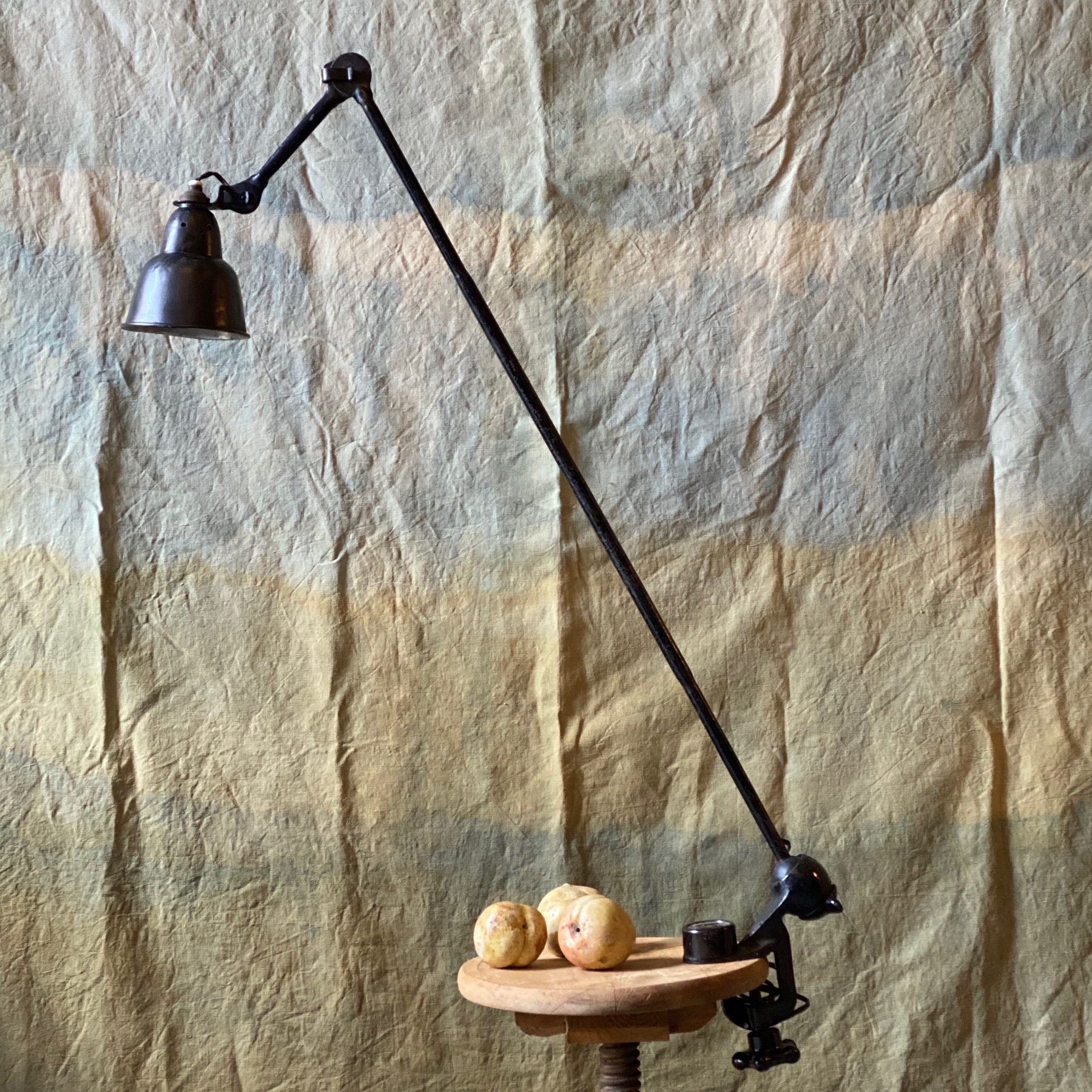 unusual-gras-lamp0006