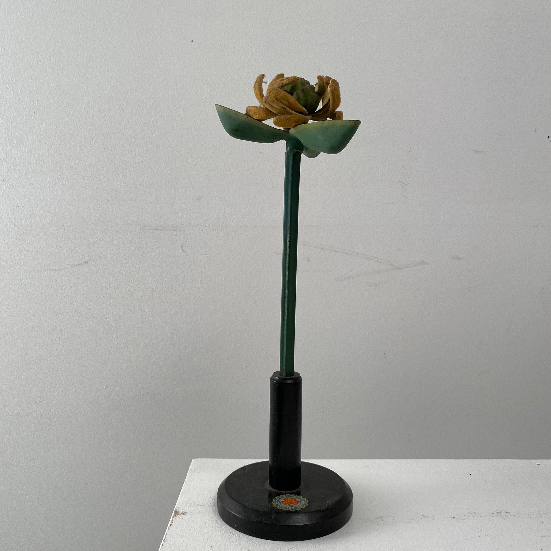 flower-collection0013