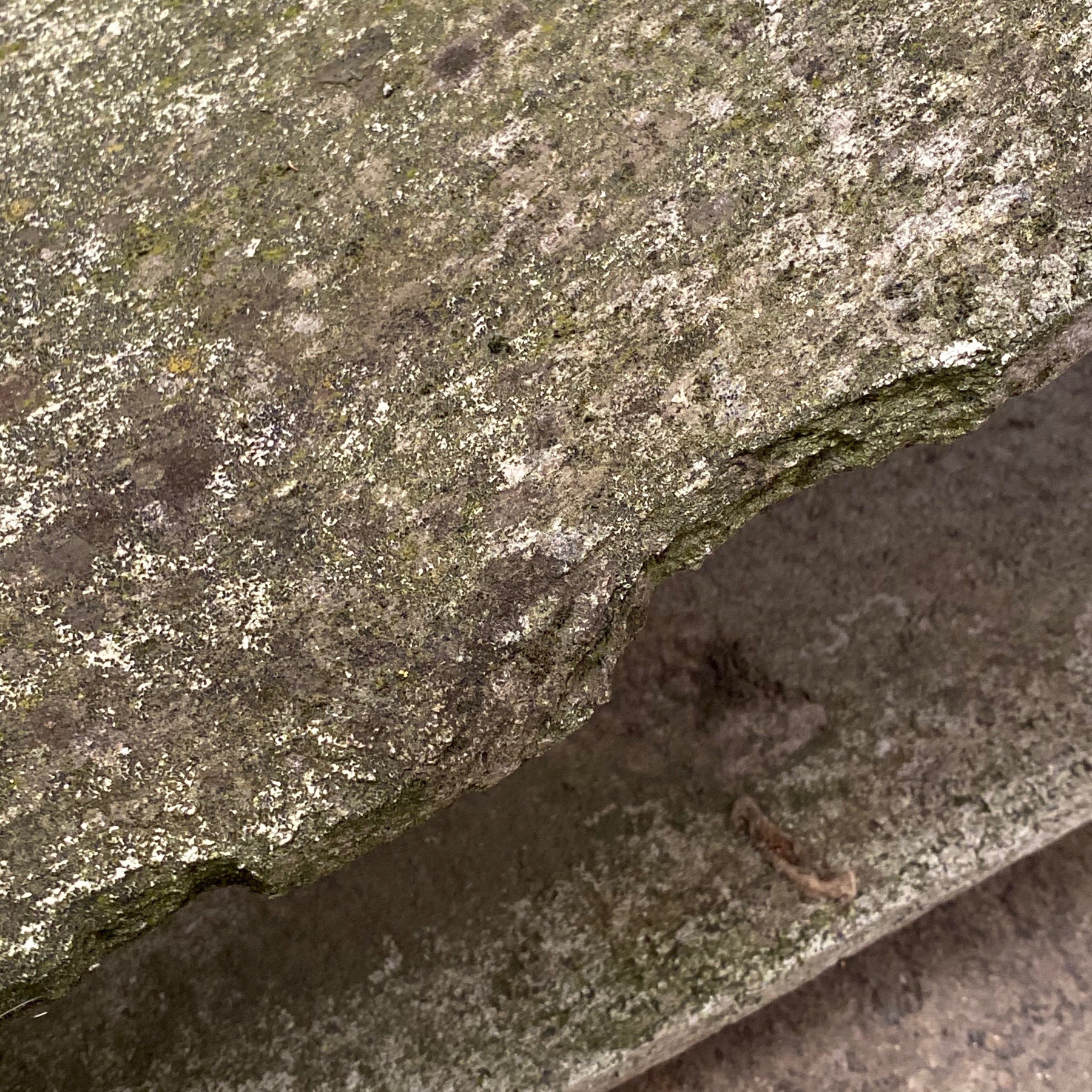 willy-guhl-armchairs0006