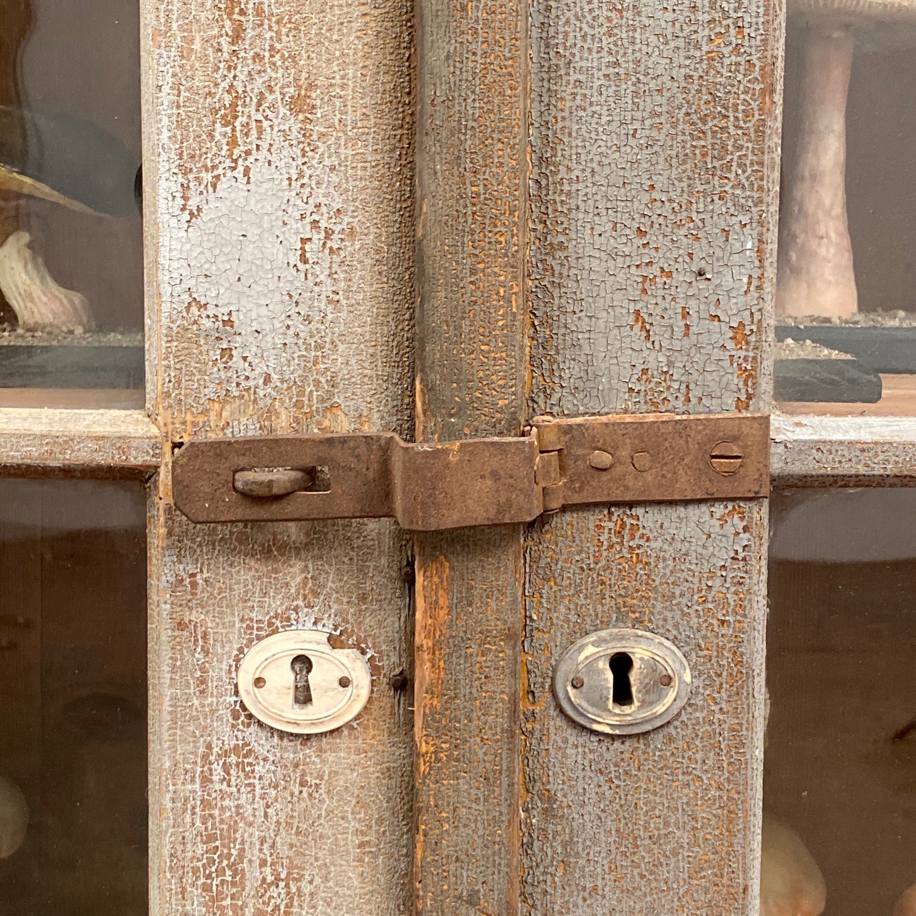 antique-painted-showcase0007