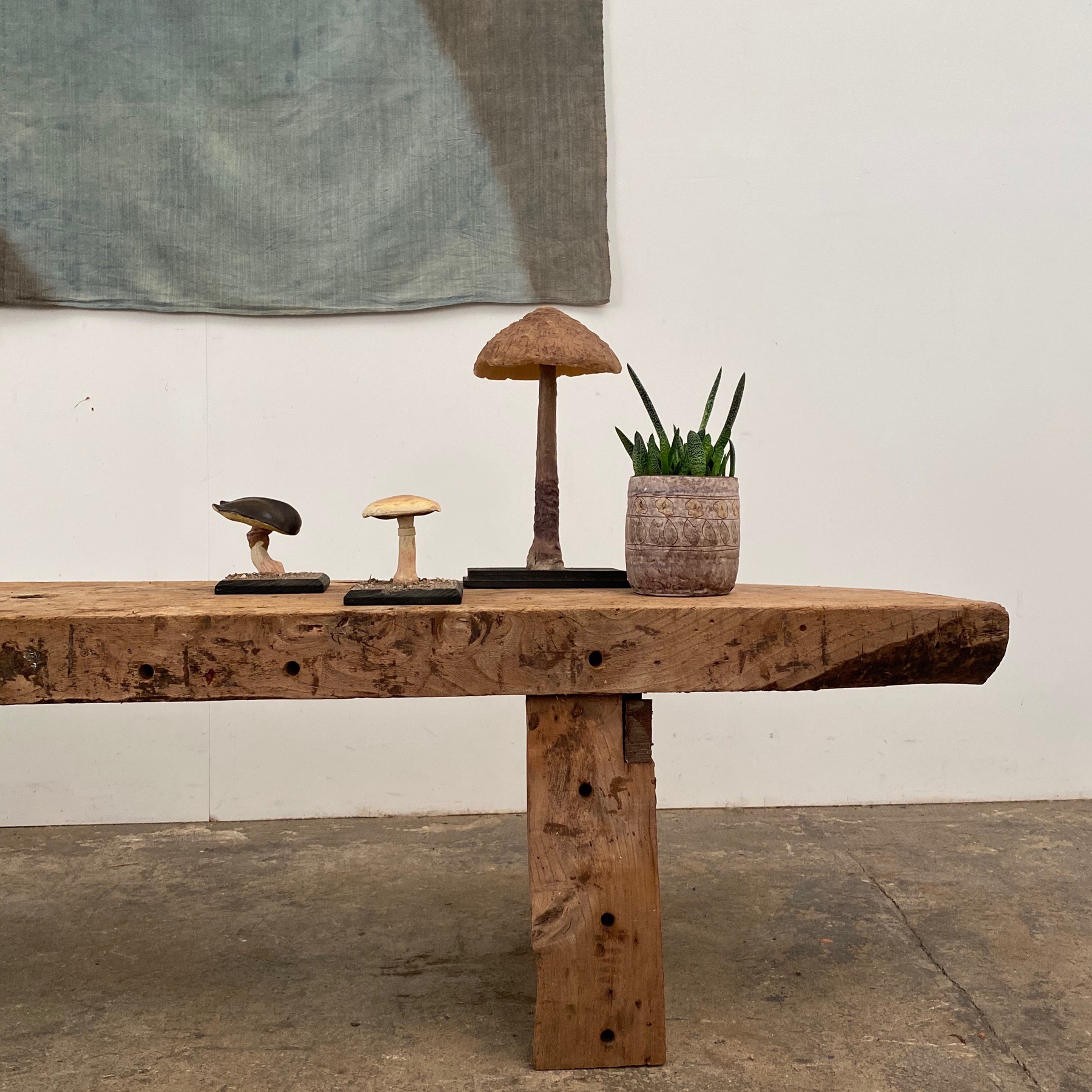 bleached-primitive-bench0006