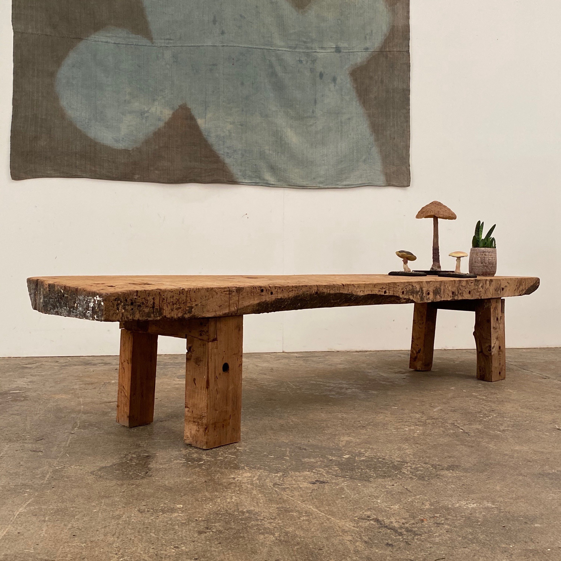 bleached-primitive-bench0007