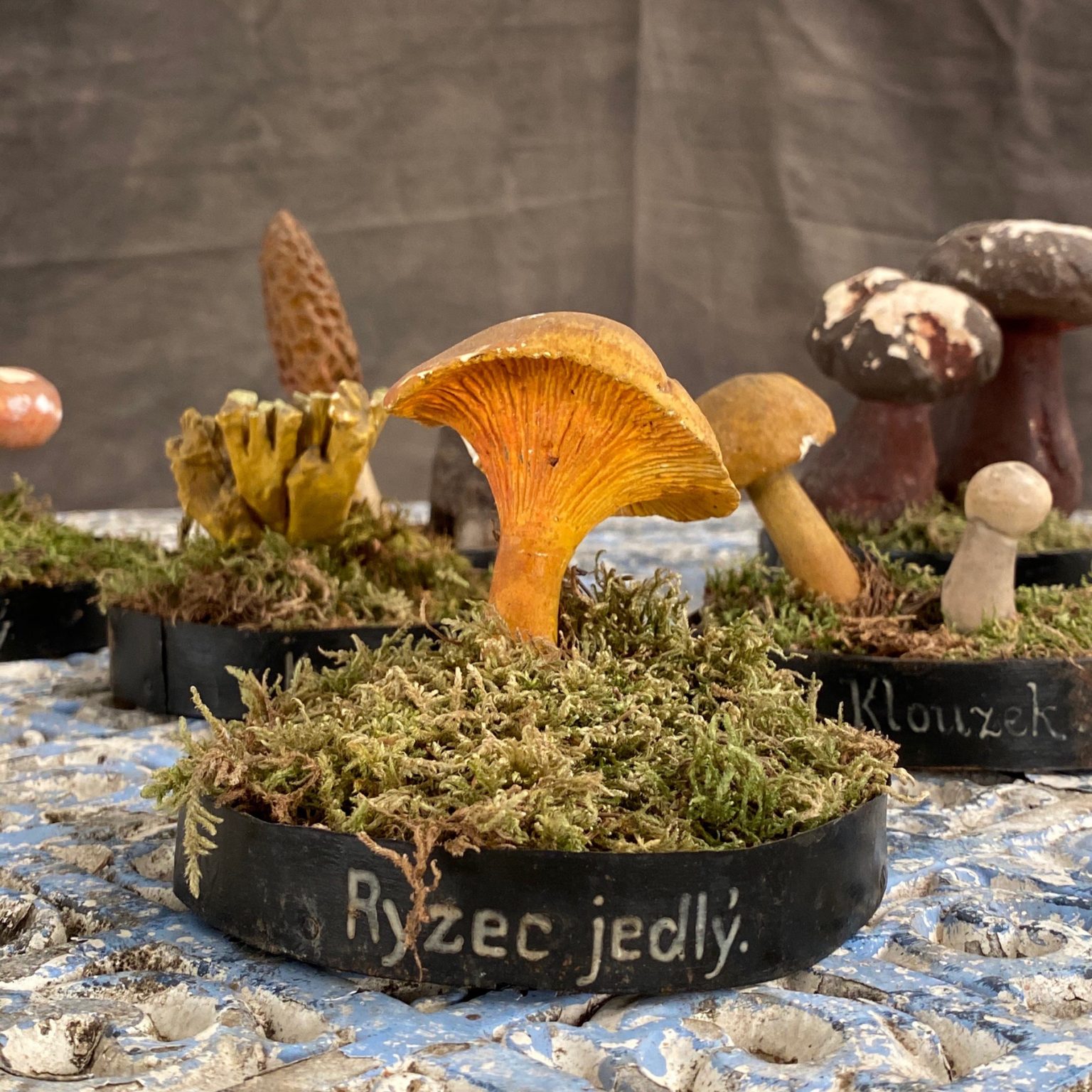plaster mushroom collection Objet Vagabond