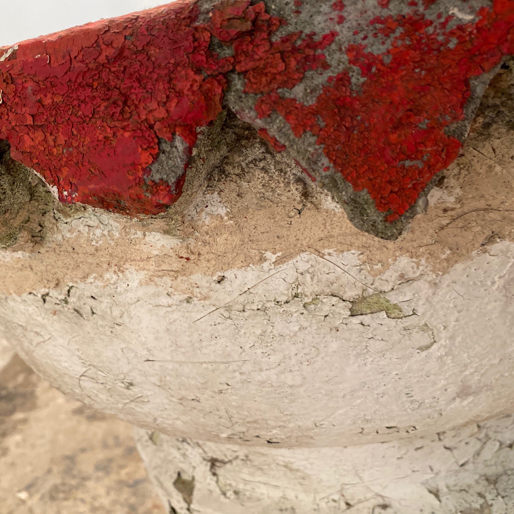 huge-concrete-planter0004