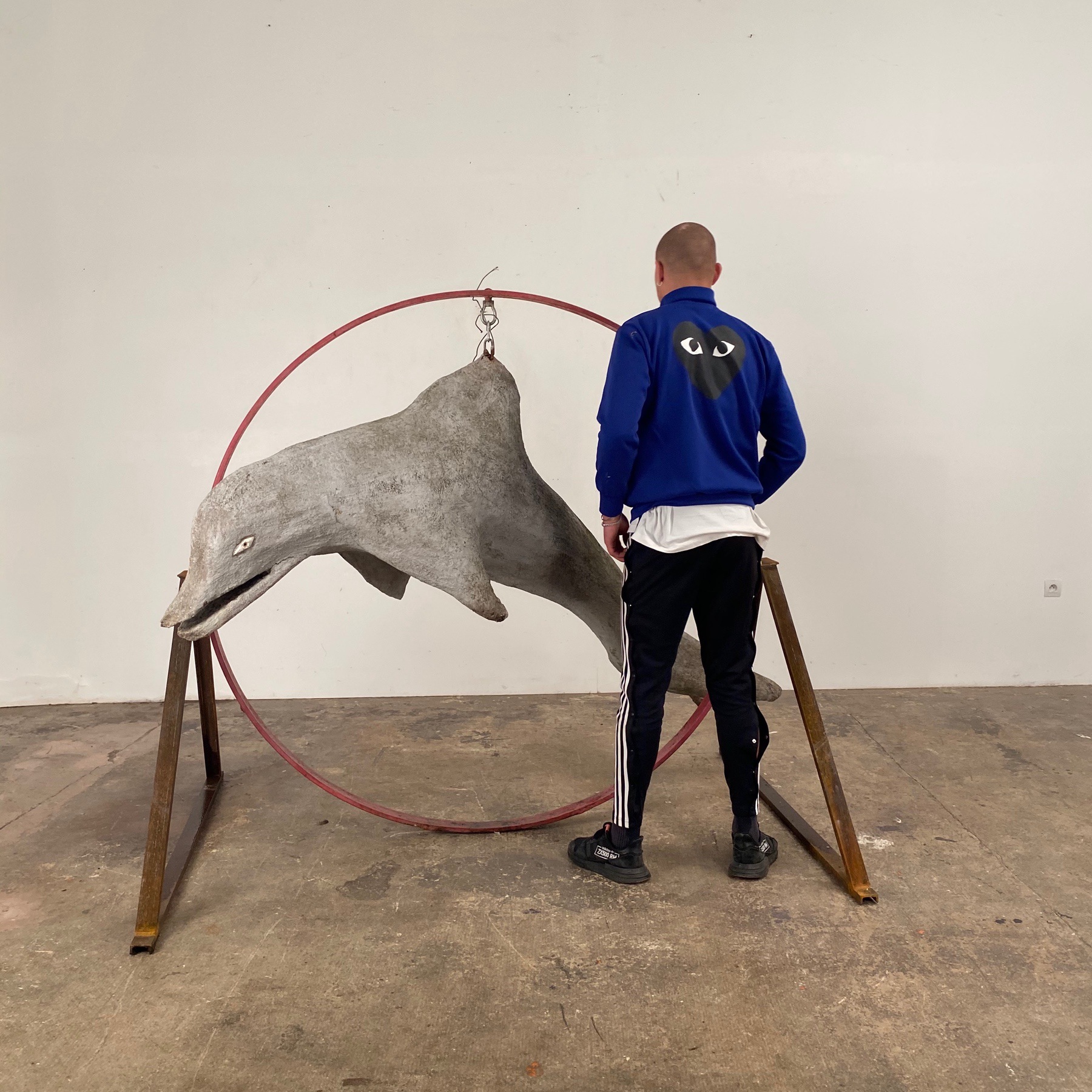 large-concrete-dolfin0005