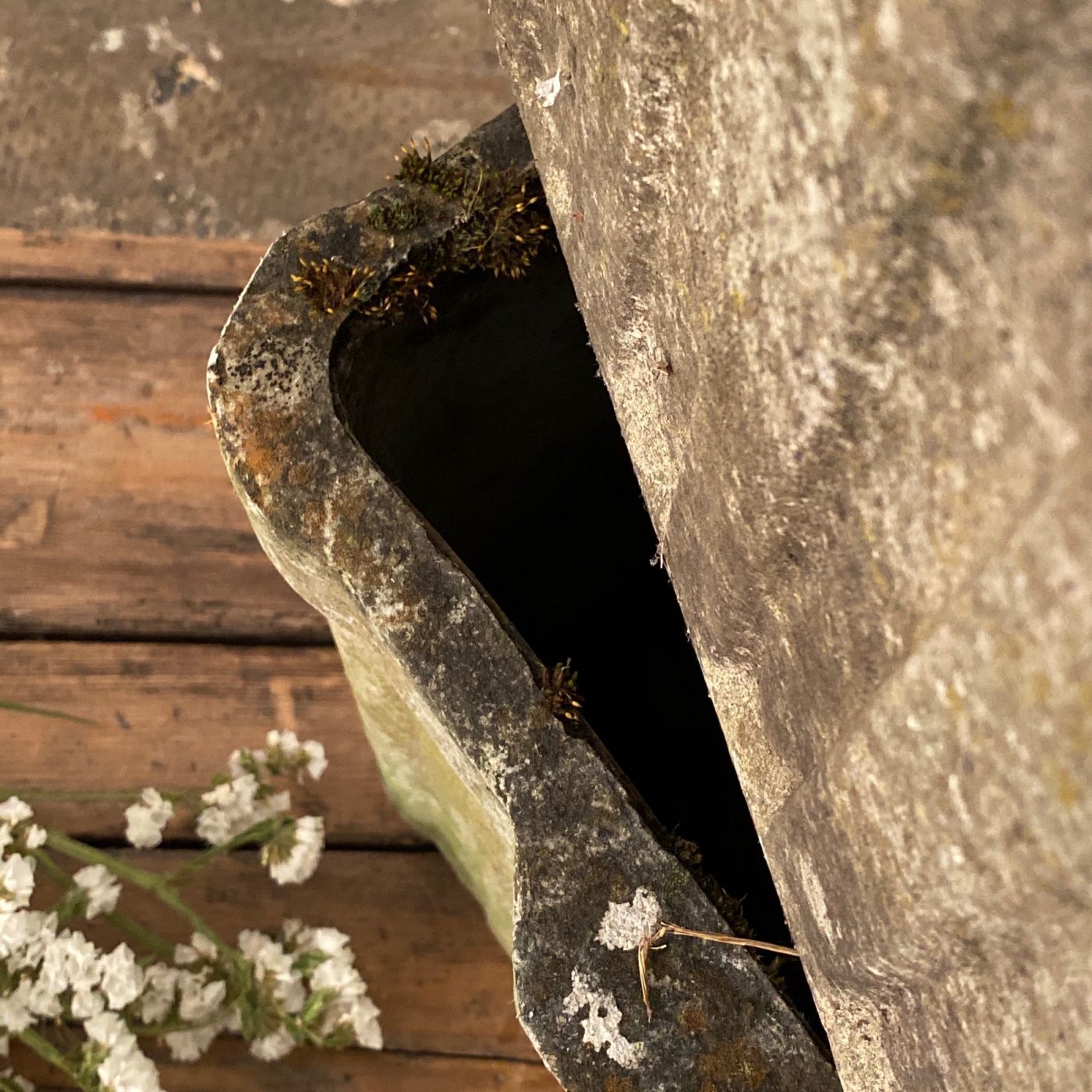 objet-vagabond-concrete-planters0002