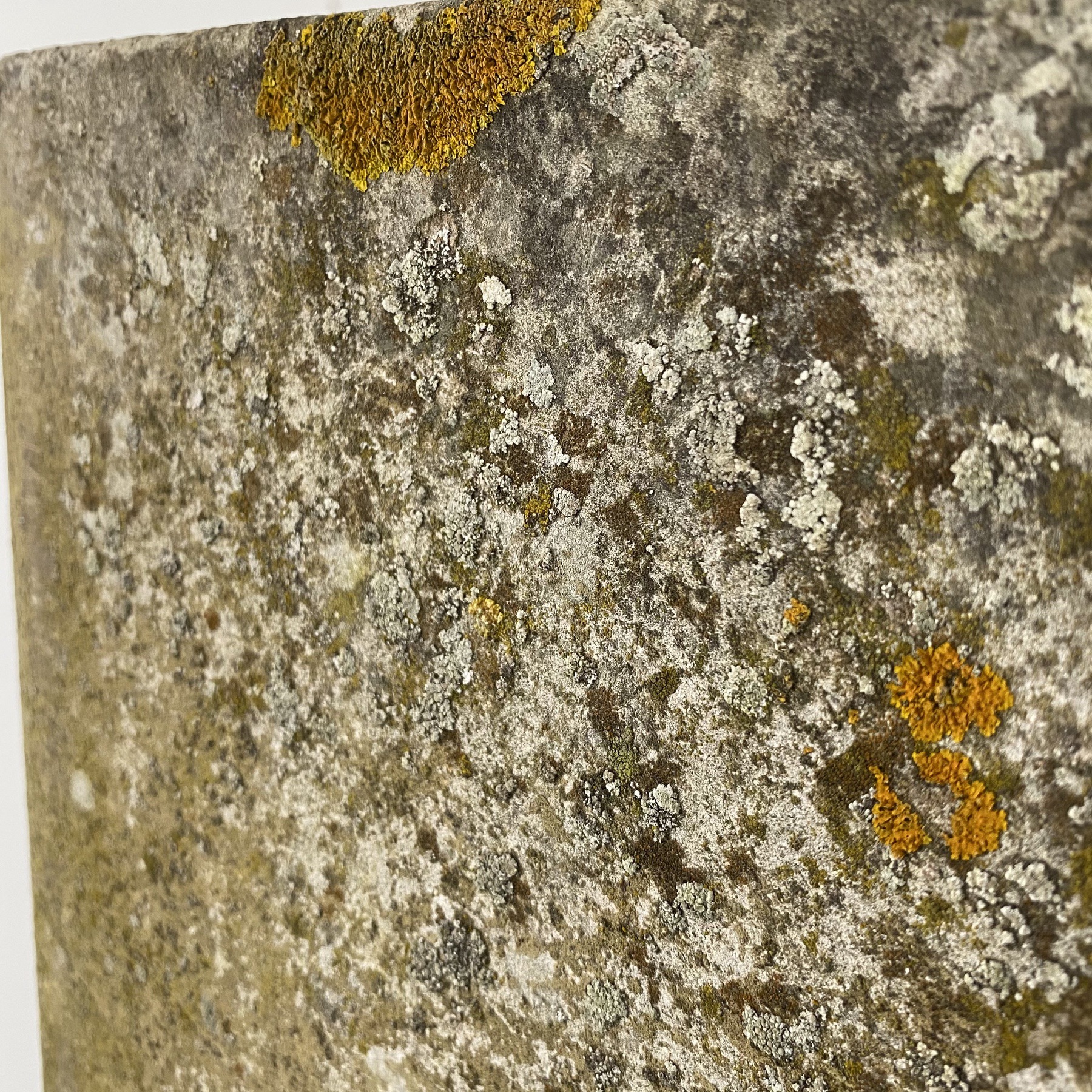 objet-vagabond-huge-concrete-planters0000