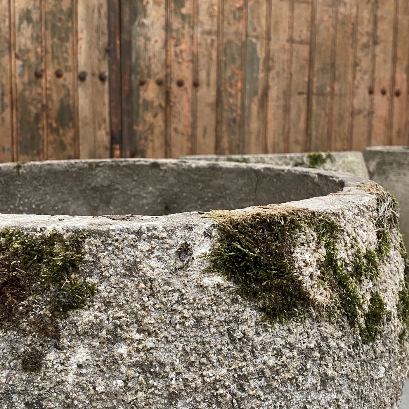 objet-vagabond-concrete-planters0000