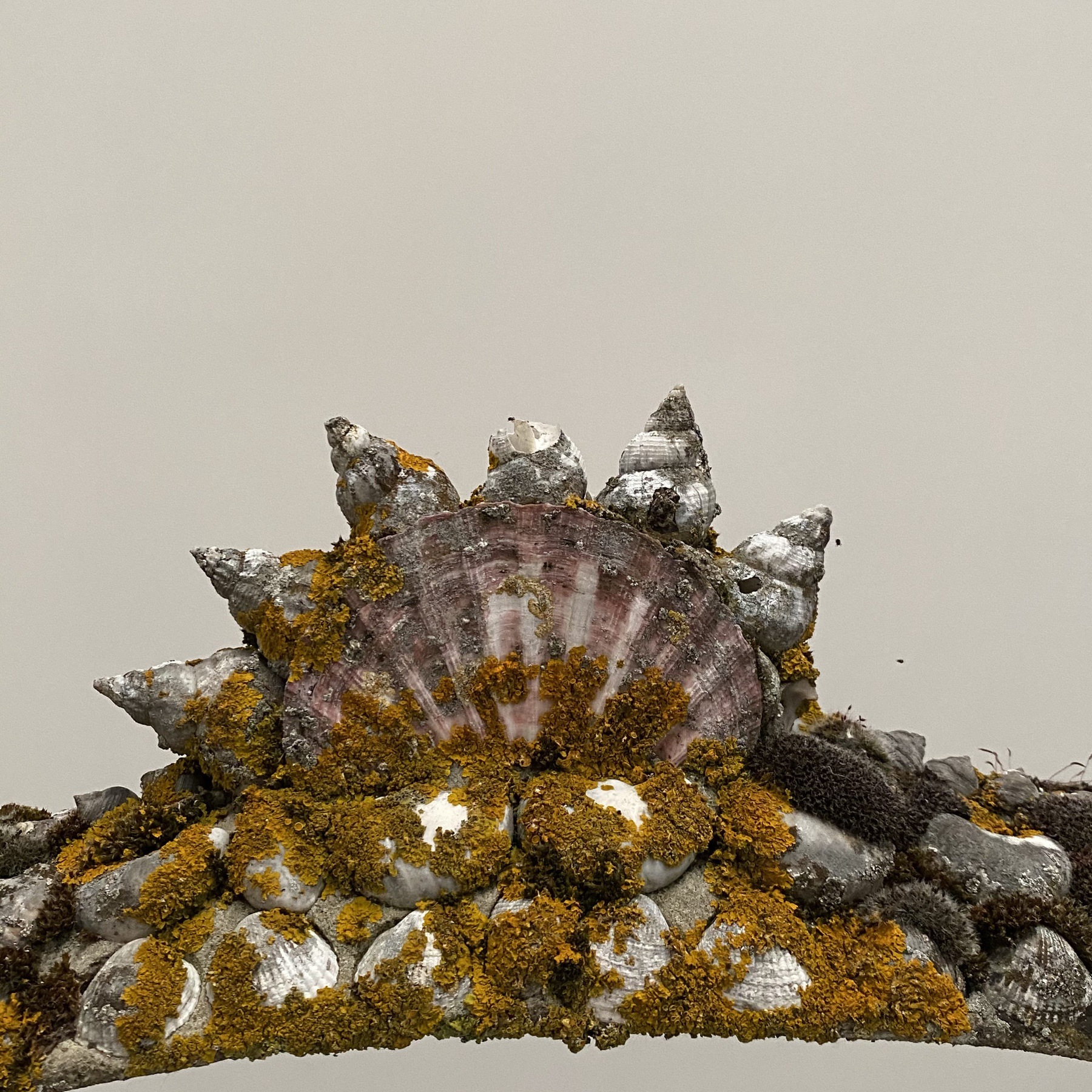 objet-vagabond-concrete-planter0003