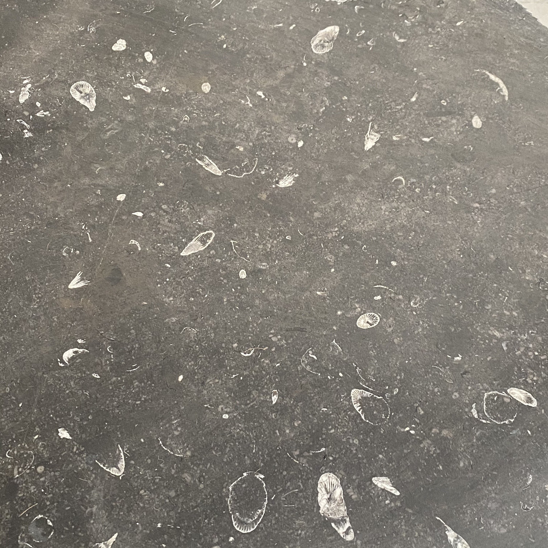 objet-vagabond-stone-table0000