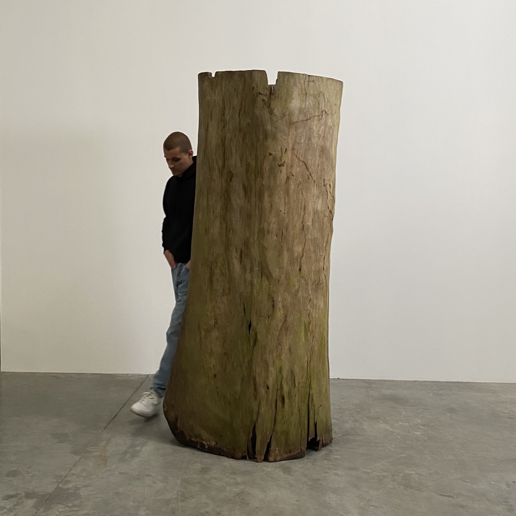 empty tree – Objet Vagabond