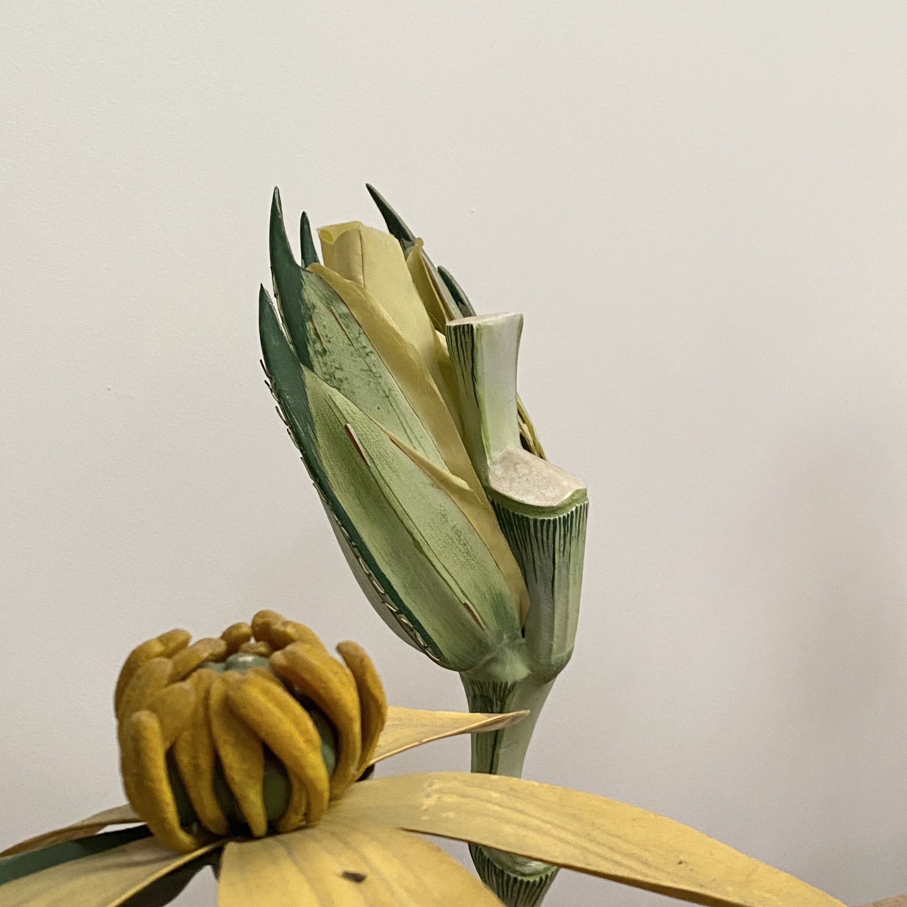 objet-vagabond-didactique-flowers0007