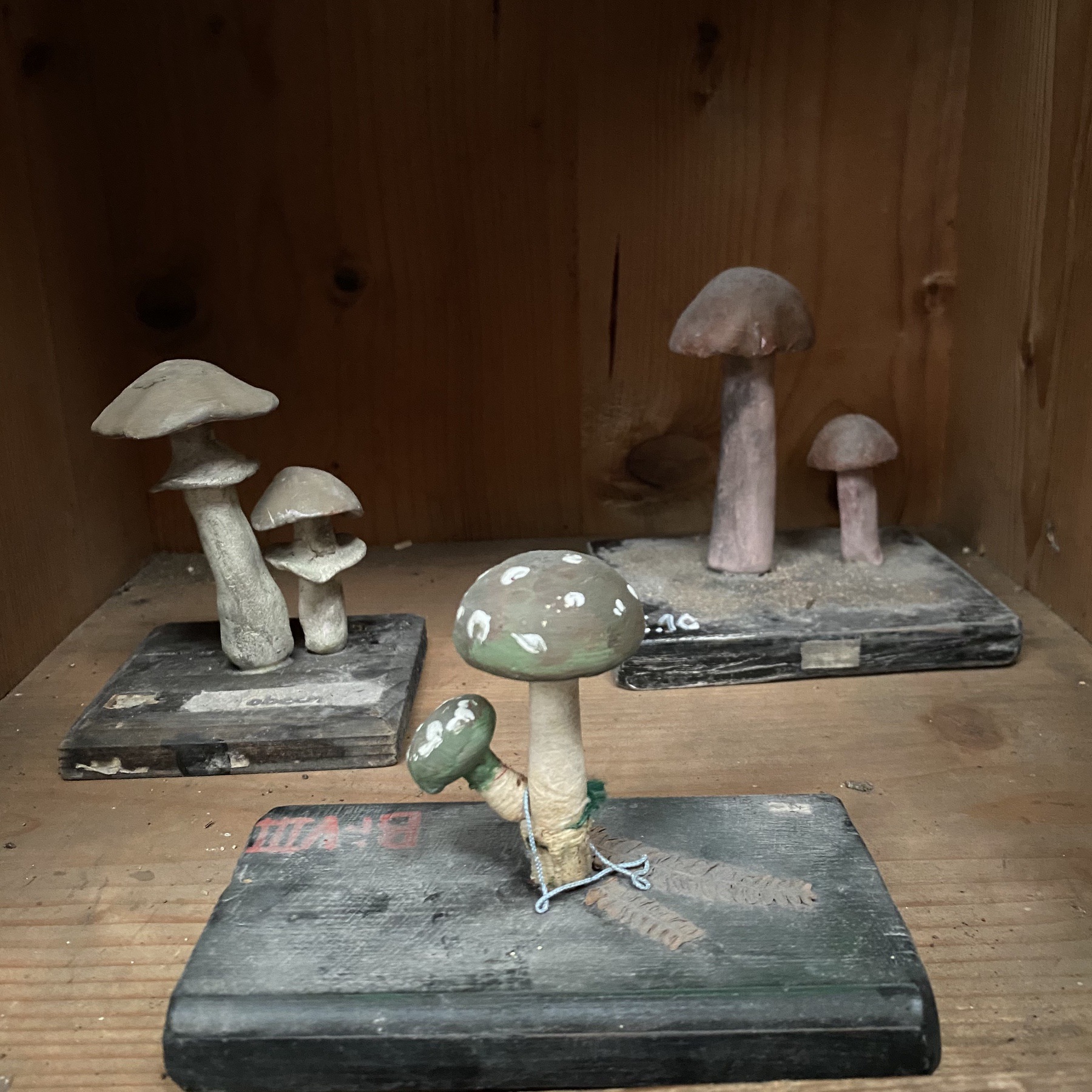 objet-vagabond-plaster-mushrooms0012