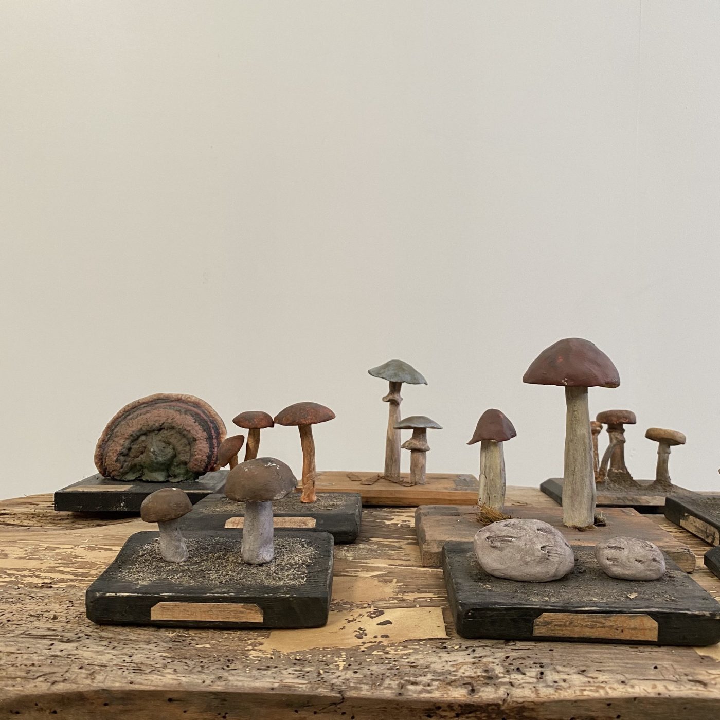 objet-vagabond-mushrooms-collection0004