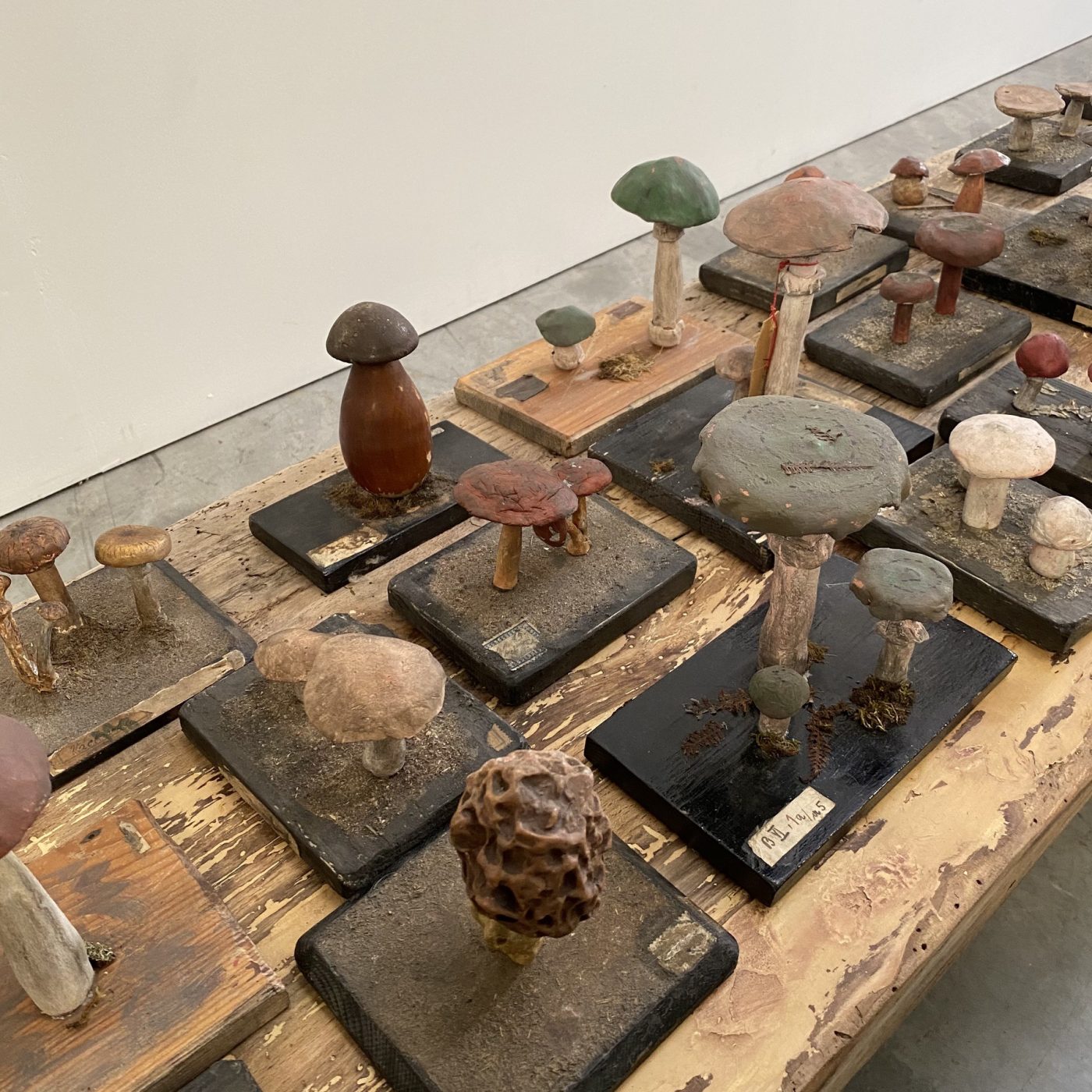 objet-vagabond-mushrooms-collection0005
