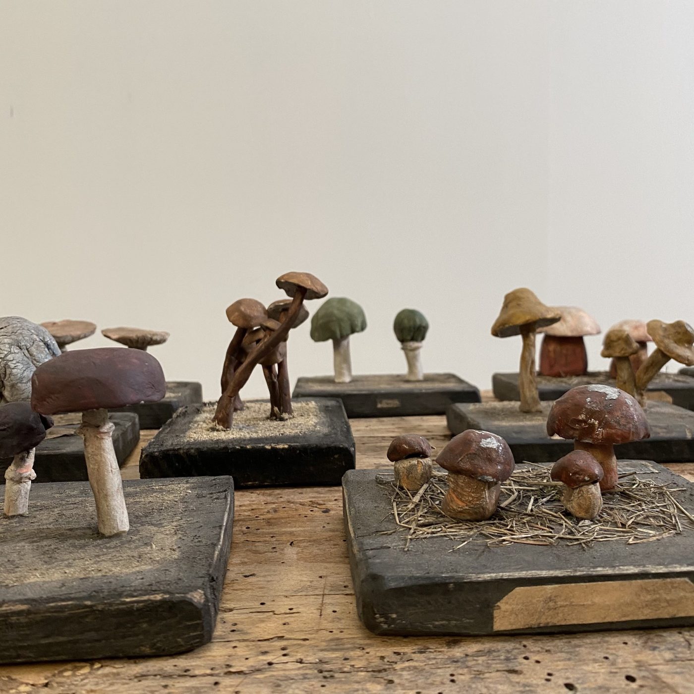 objet-vagabond-mushrooms-collection0006