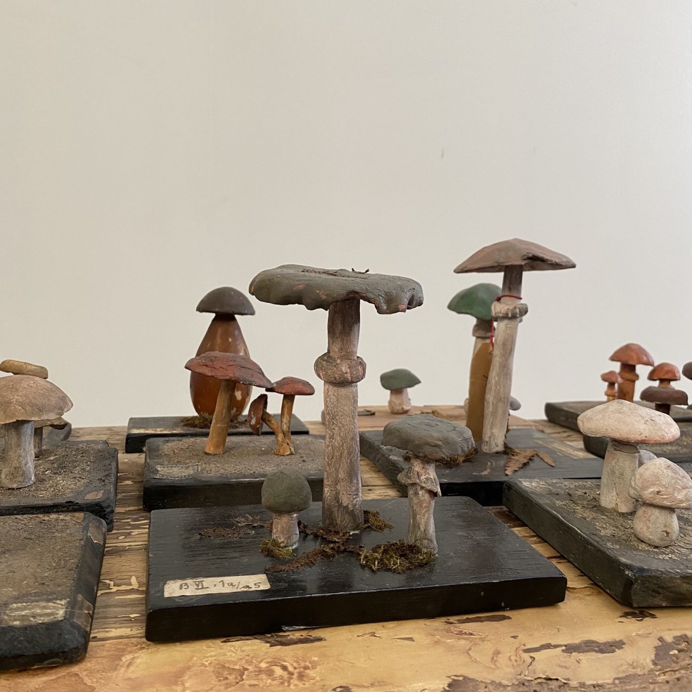 objet-vagabond-mushrooms-collection0007