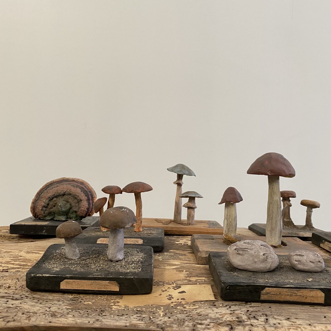 objet-vagabond-mushrooms-collection0010