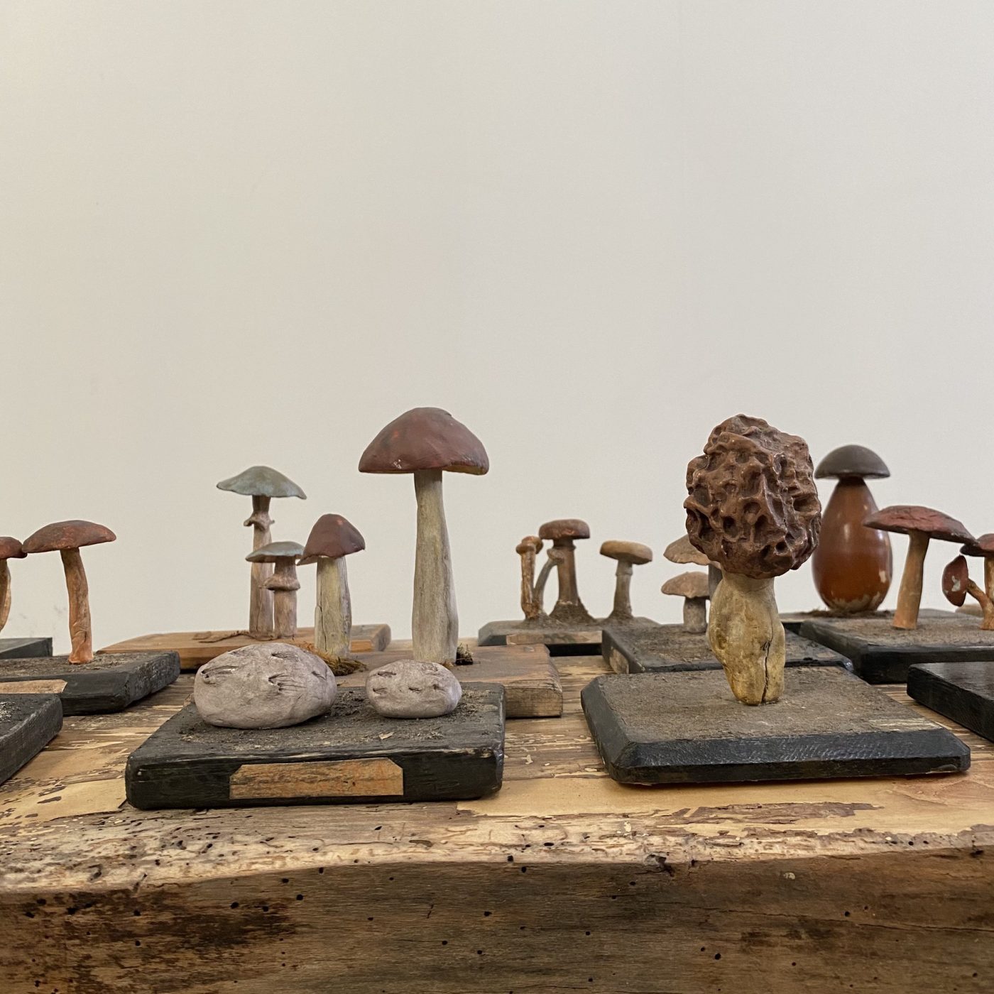 objet-vagabond-mushrooms-collection0011