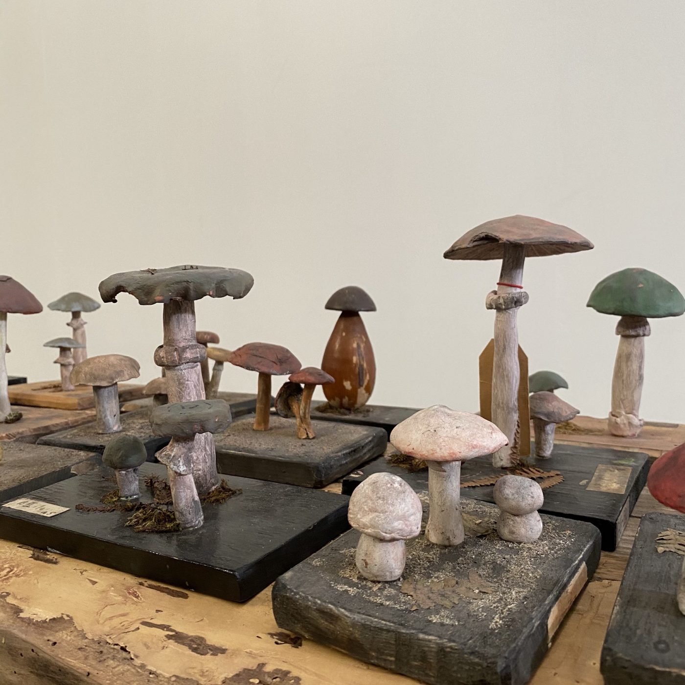 objet-vagabond-mushrooms-collection0012