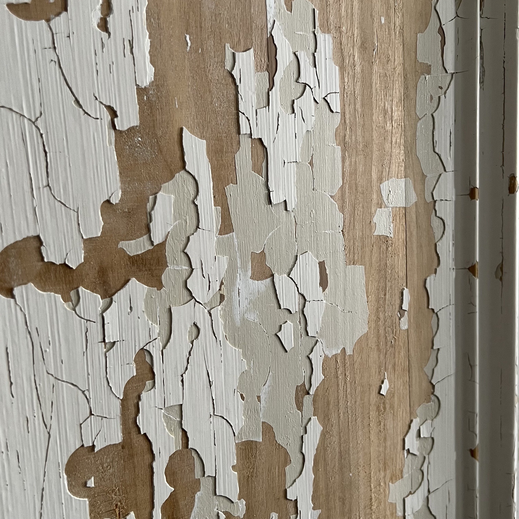 objet-vagabond-painted-doors0000