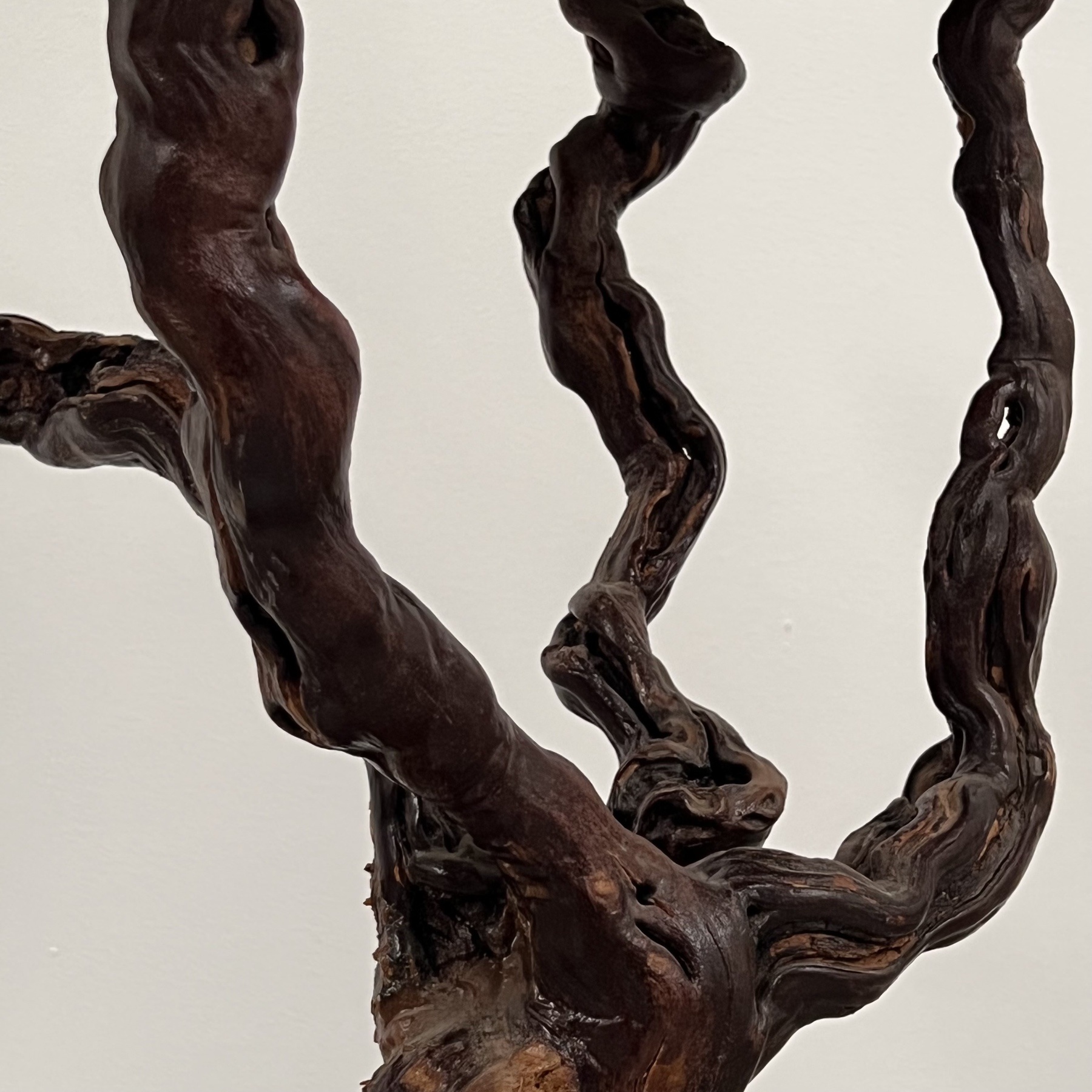 objet-vagabond-roots-pedestal0005