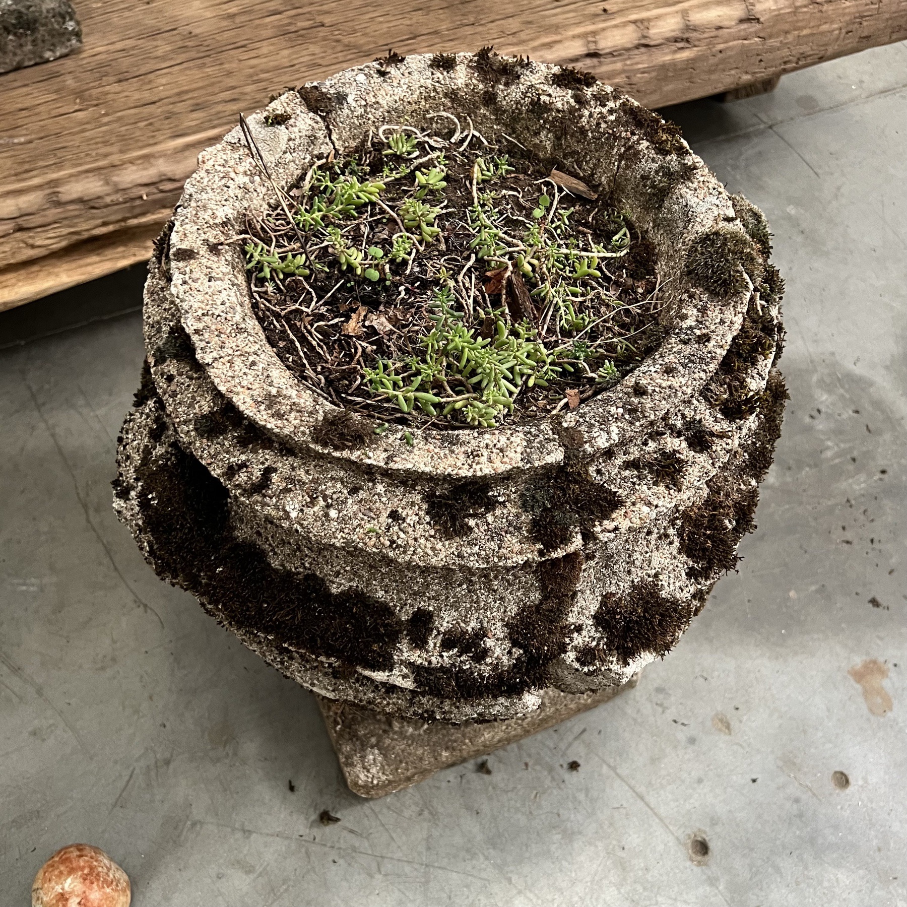 objet-vagabond-concrete-planters0006