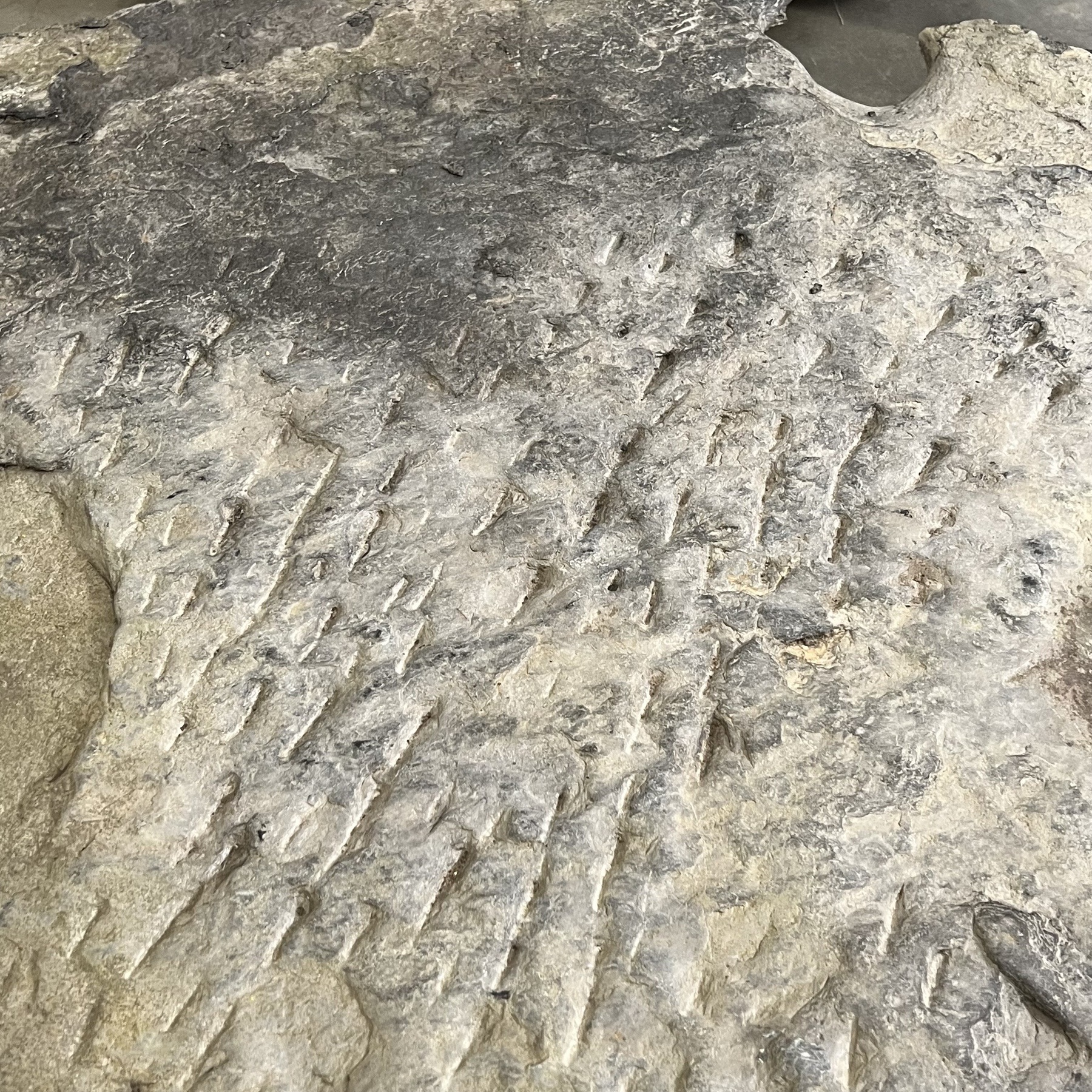 objet-vagabond-stone-coffeetable0006