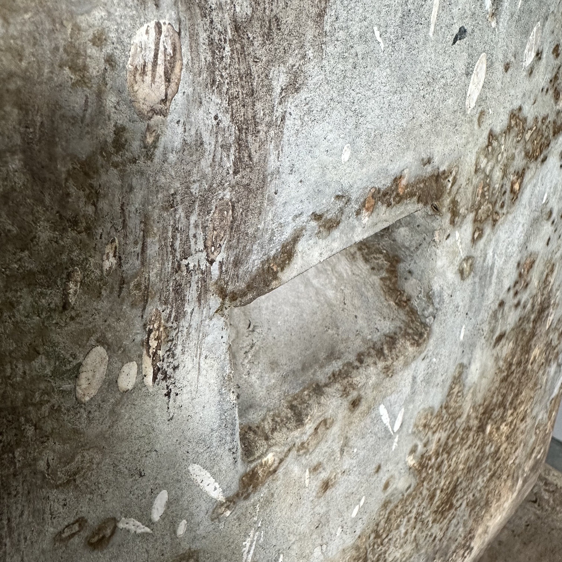 objet-vagabond-guhl-planters0007