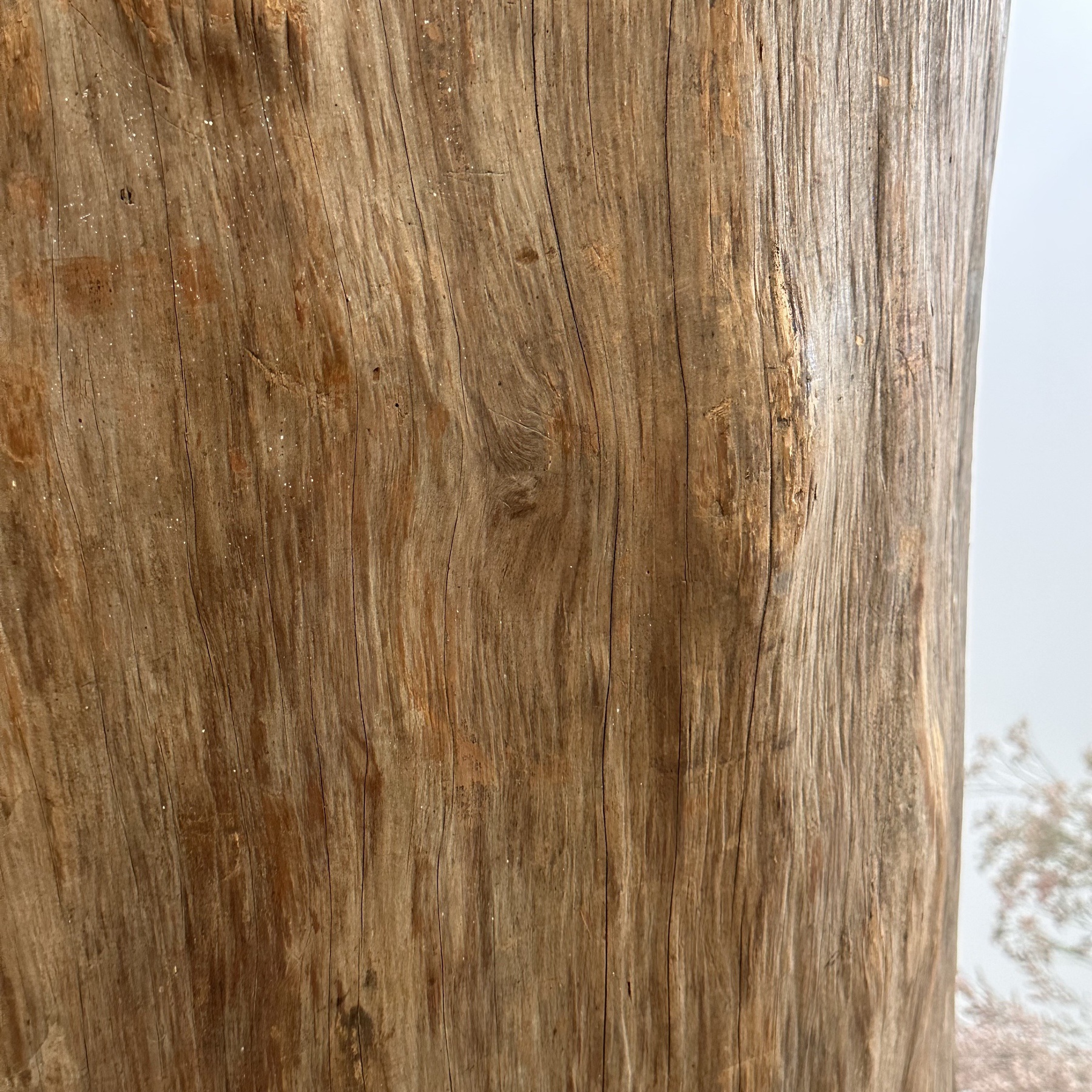 objet-vagabond-huge-bin0000