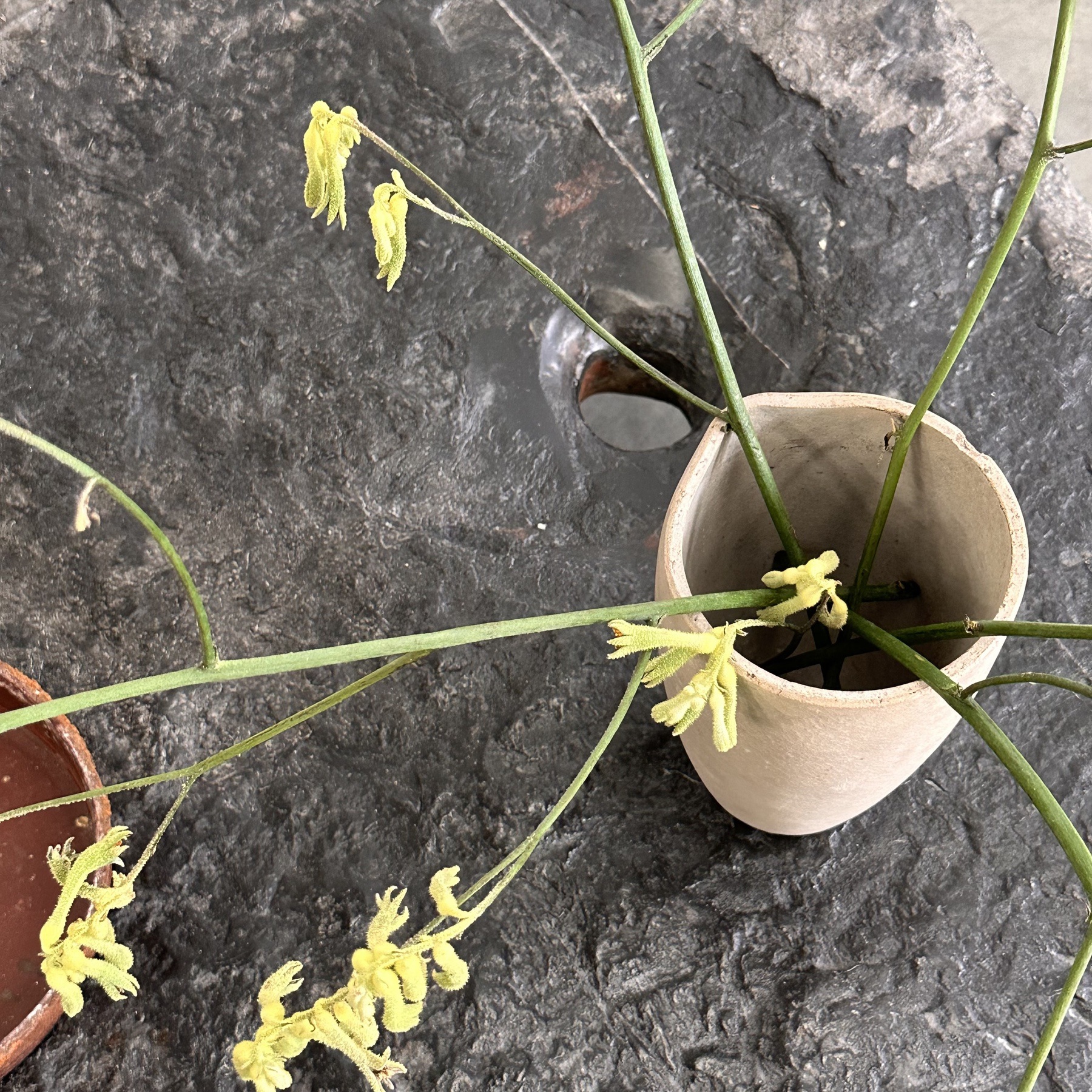 objet-vagabond-stone-table0015