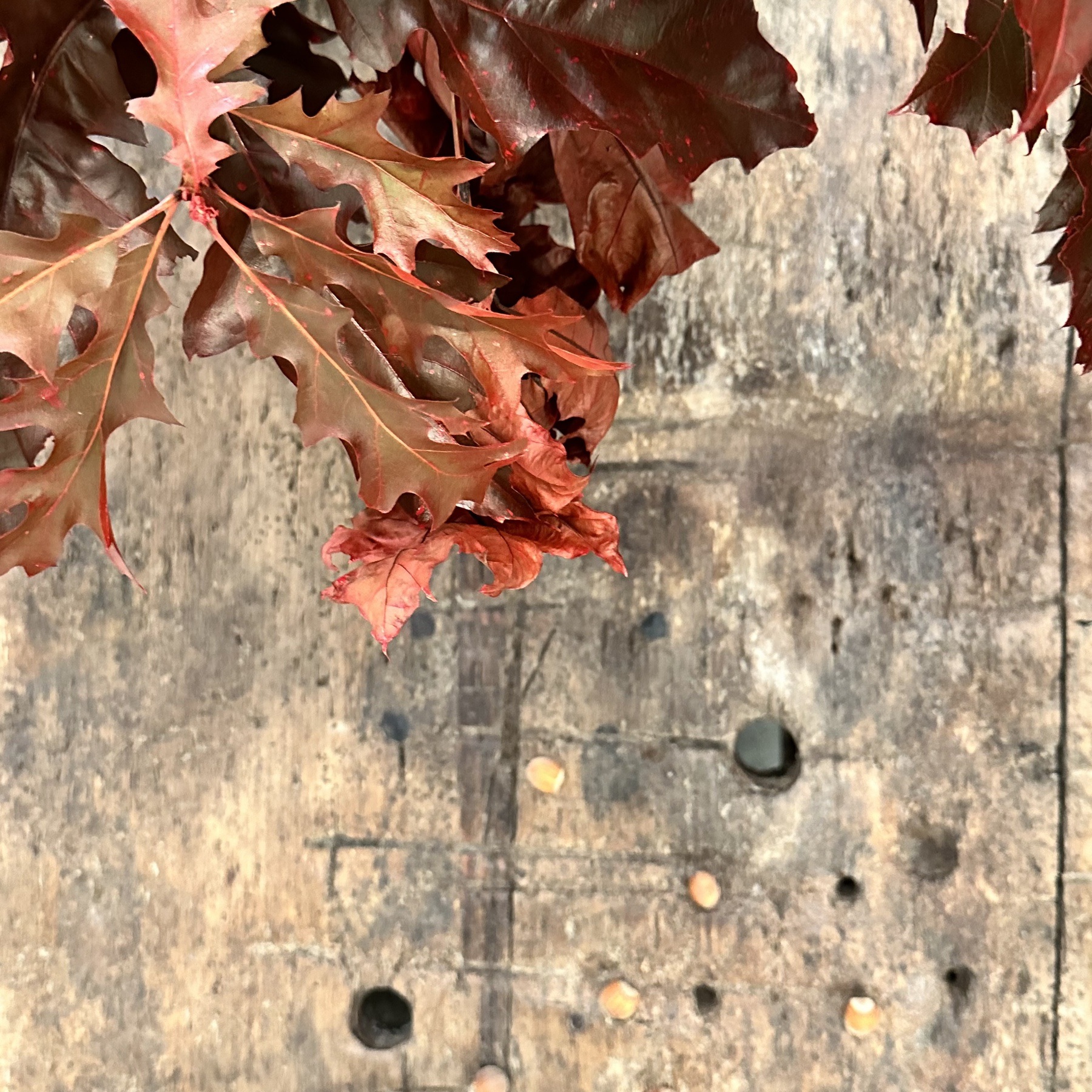 objet-vagabond-massive-workbench0017