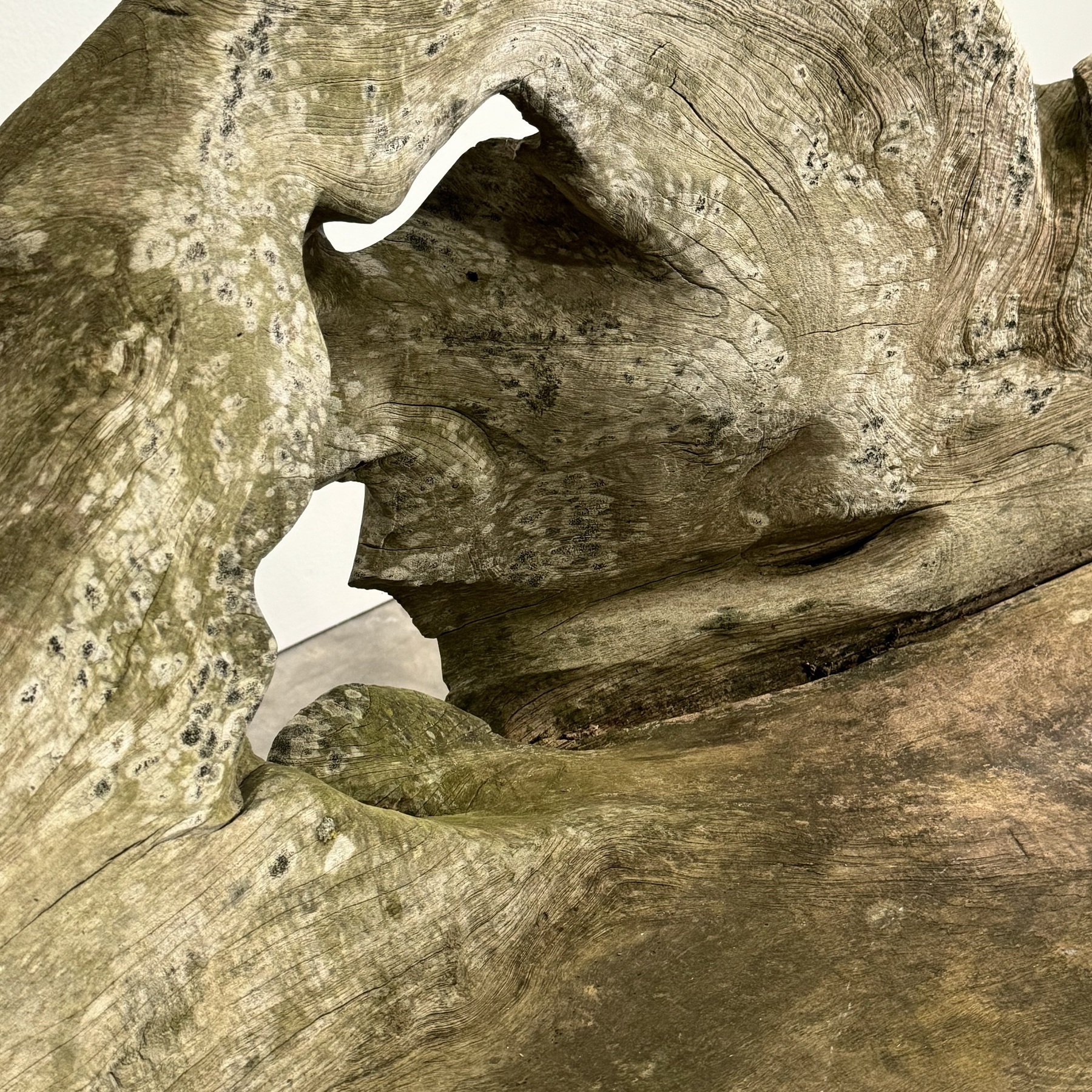 objet-vagabond-primitive-bench0002